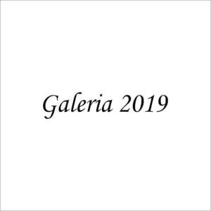 galeria 2019